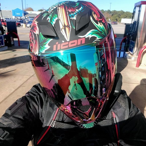 Meet your Posher, Dixie - Picture 5 of 9